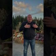 Гурт Золота Карпати
