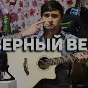 Ярик Бро Северный Ветер