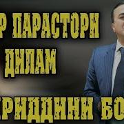 Хайриддини Бозор Модар