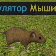 Симулятор Мышки В Доме Часть 1