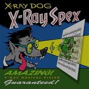 Groovin At The Sands X Ray Dog