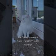 Иногда Екатерина Морозова
