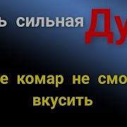 Бисмилляхи Ллязи Ля Ядурру