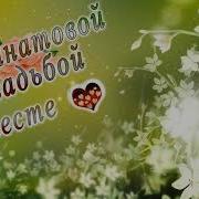 Путин Поздравляет С 19 Летием Свадьбы Гранатовая
