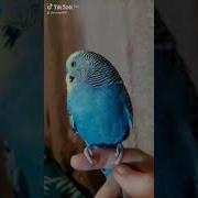 В Пицунде Бархатный Сезон
