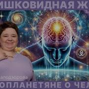 Кассиопея Гармонизация