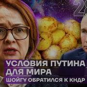 Дети В Супермаркете