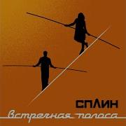 Когда Пройдёт 100 Лет Сплин
