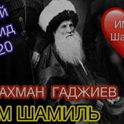 Абдурахман Гаджиев Имам Шамиль