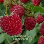 По Тропинке В Сад Пойдем