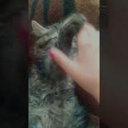 Щас Как Пиздану