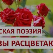 Розы Расцветают Сердце Отдохни