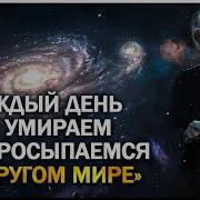 Мир Жизни И Смерти