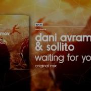 Dani Avramov Sollito Waiting For You