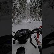 Зачем Мы Вообще Сюда Поехали