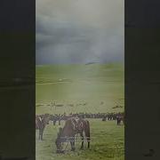 Арман Таусылды Қайдан Ай