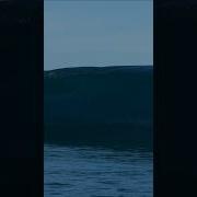 Want To Be Simply Wave