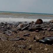 Прислушайтесь Это Море