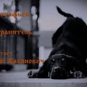 Астафьев Ангел Хронитель Аудиокнига