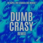 Dumb Crazy Remix