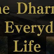 Todo Dharma
