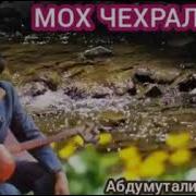 Дадахон Хасанов Мох Чехралар