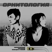 Орнитология Из Реальности В Эскапизм И Обратно