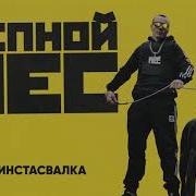 Инстасвалка Корней