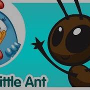 Lottie Dottie The Little Ant Uk