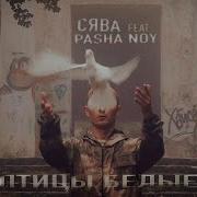 Птицы Белые Сява Птицы Белые