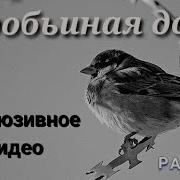 Воробьинная Доля