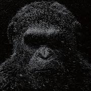 Minimal Techno Edm Dark Monkey