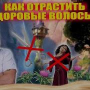 Я Хочу Вырастить Длинные Волосы