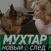 Мухтар Новый След 4 Лапы