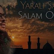 Yarali Saha Salam Olsun Masoud Ghofrani 2023 Meherrem Albom Rehim313