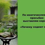 Минус Почему Седеют Мамы