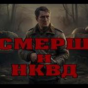 Аудиокниги Про Смерш И Разведку