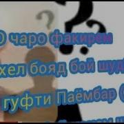 Чихел Бой Шавем
