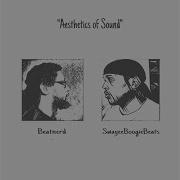Sonic Vision Beatnerd Swayeeboogie
