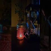 Изучение Границ Сознания Сэл Рейчел