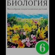 Параграф 27 Шестой Класс Семейство Крестоцветные