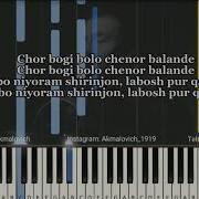 Минус Чорбоғи Боло