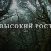 Высокий Рост Саблиминал Лина
