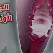 احساس اول مره اشوف زب