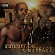 Shout It Dmx