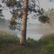 Виа Пламя За Речной Излукою