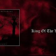 King Of The Void Opened Paradise