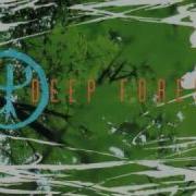 Deep Forest Version 2021 Deep Forest