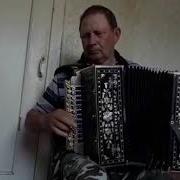 Тамбовская Матаня На Гармошке