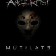 Angerfist Silent Notes